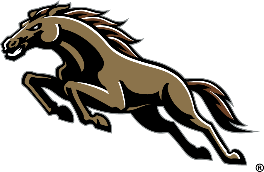 Western Michigan Broncos 1998-2016 Secondary Logo v3 diy DTF decal sticker